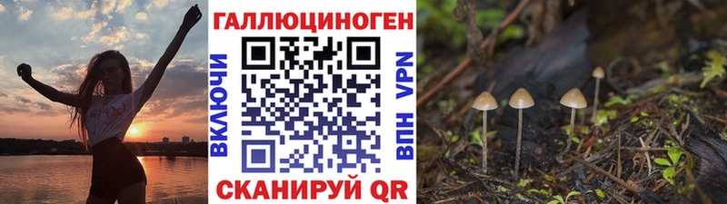 МЕГА маркетплейс  Первомайск  Псилоцибиновые грибы Psilocybe  купить наркотик 